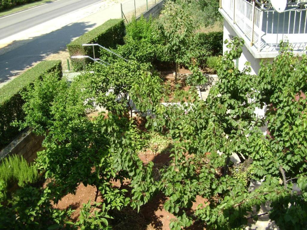 Apartmani Tome زادار المظهر الخارجي الصورة
