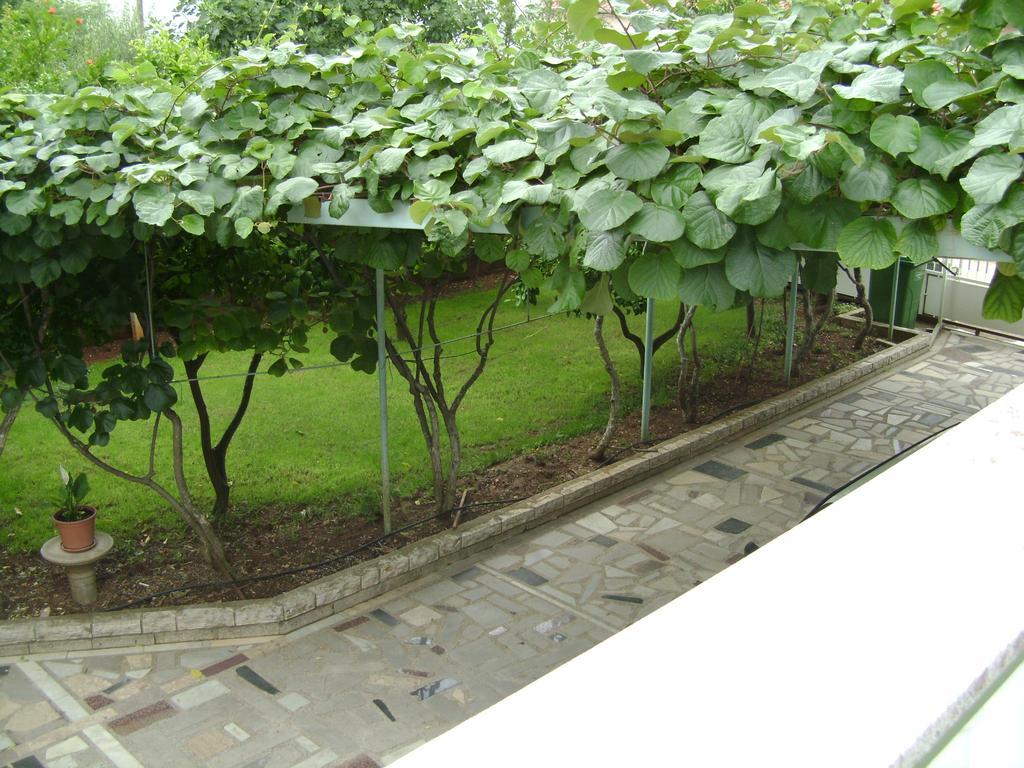 Apartmani Tome زادار المظهر الخارجي الصورة